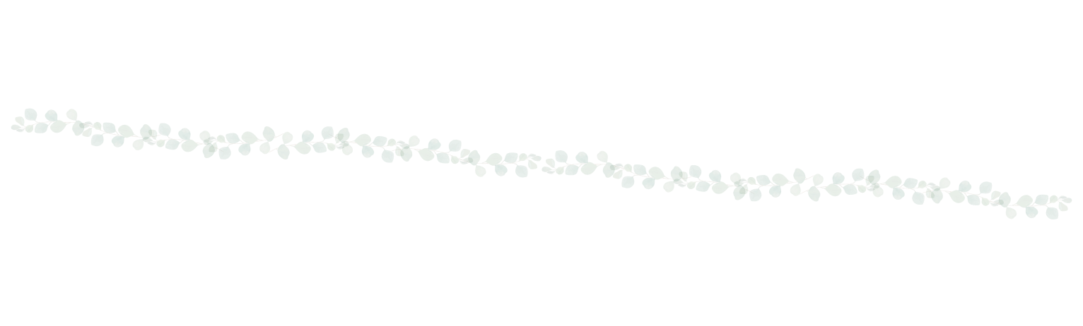 ワイヤープランツ