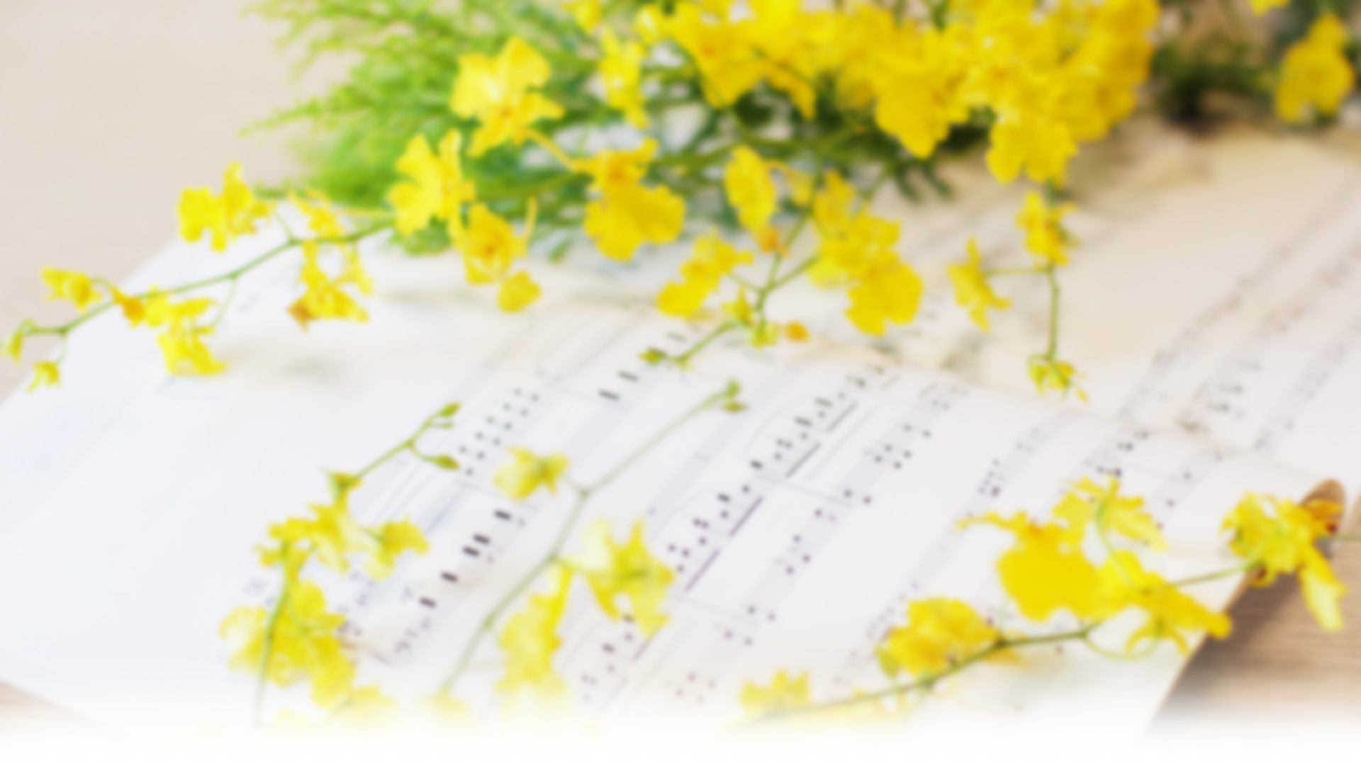 メインヴィジュアル