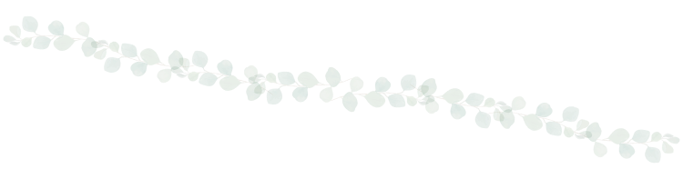 ワイヤープランツ